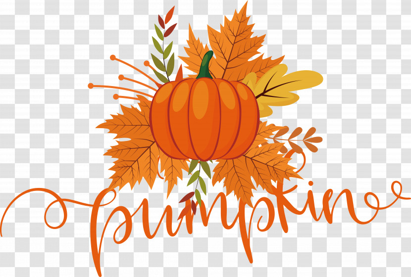 Pumpkin Transparent PNG