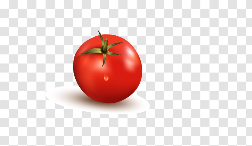 Tomato Diet Food Apple Wallpaper - Potato And Genus Transparent PNG