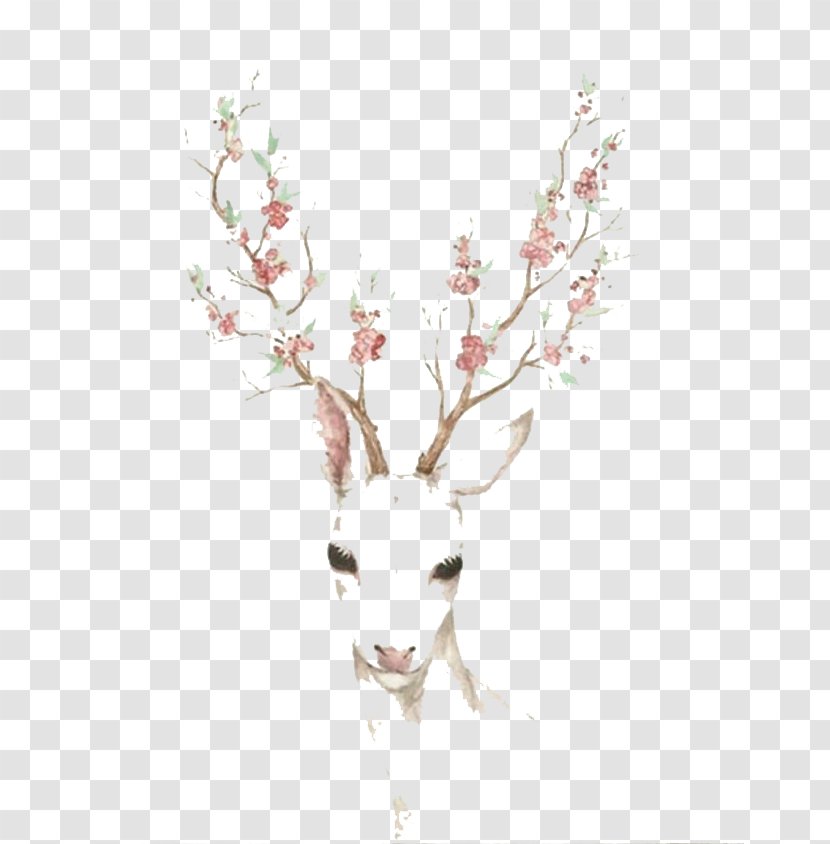 Deer Antler Elk Cherry Blossom Paper - Flower - Watercolor Transparent PNG