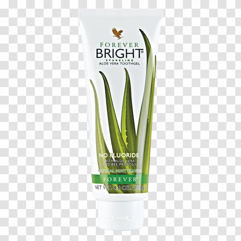 Aloe Vera Forever Living Products Gel Lotion Tooth - Moisturizer - Botanical Illustration Transparent PNG