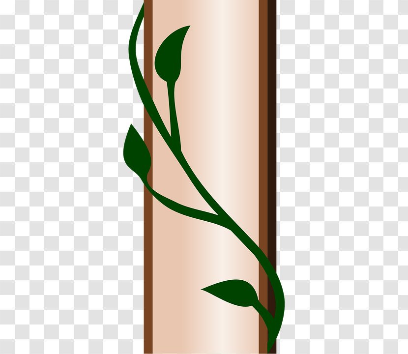 Ivy Role-playing Game Clip Art - Plant Stem - Climber Transparent PNG