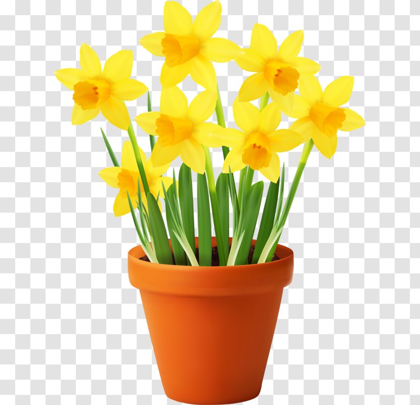Flowerpot Vector Graphics Clip Art Illustration - Narcissus - Flower ...