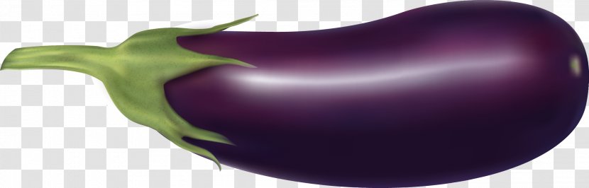 Purple Vegetable Eggplant - Organism Transparent PNG