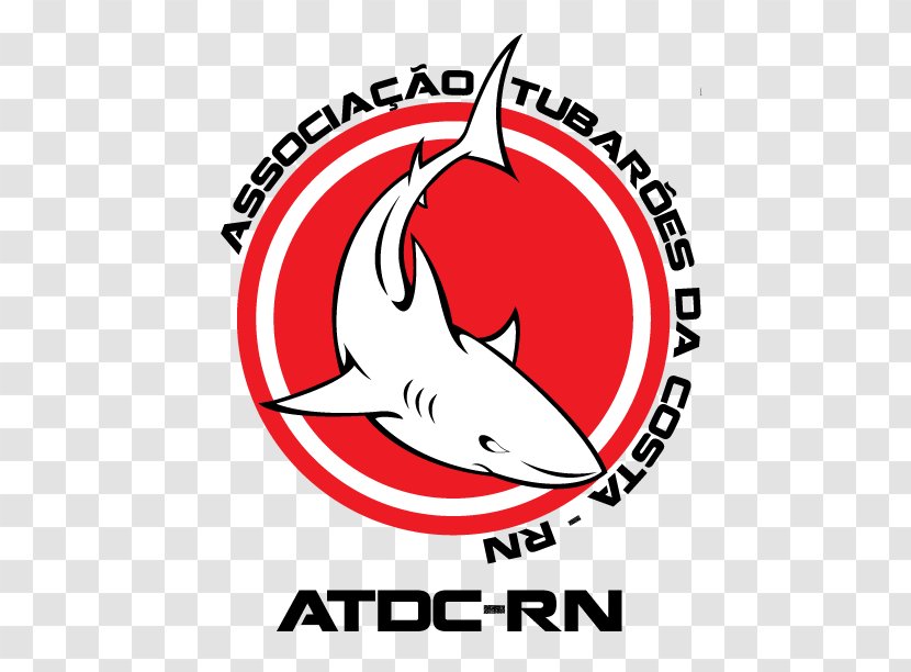 Nordeste Natal Portal Graphic Design Sport - Symbol Transparent PNG