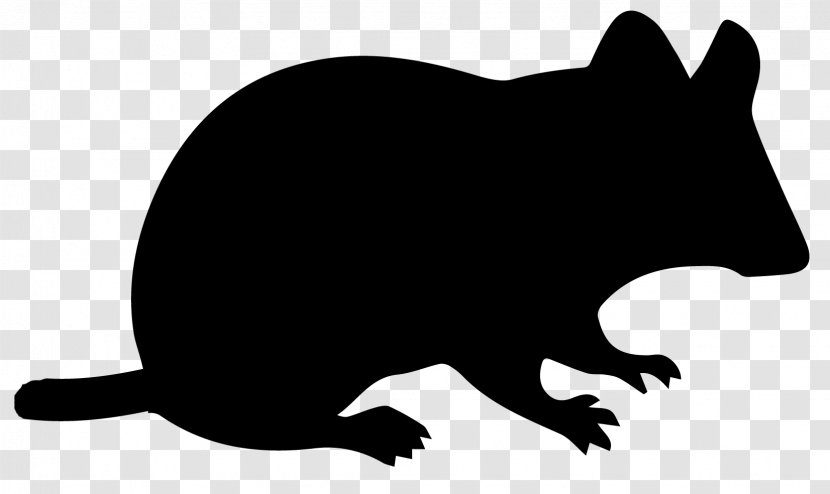 Computer Mouse Mickey Silhouette - Mammal - Bird Fleas Transparent PNG