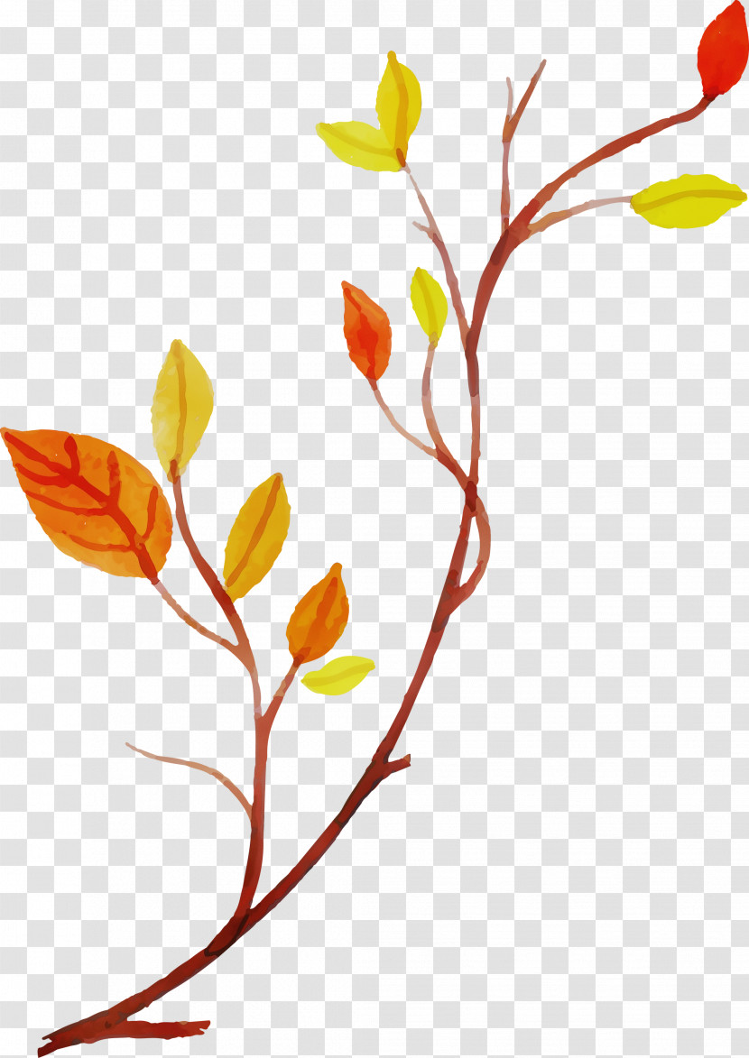 Floral Design Transparent PNG