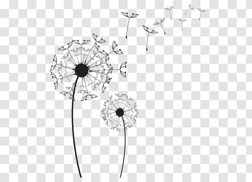 Common Dandelion Photography - Flower Transparent PNG