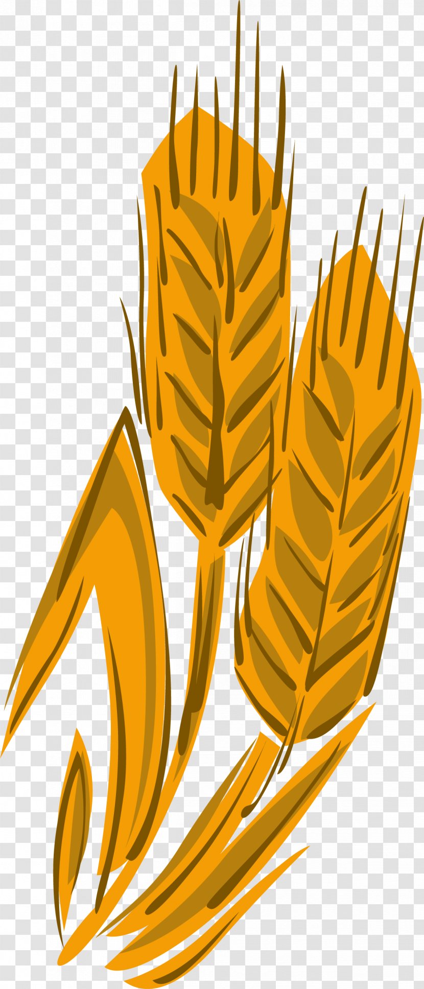 Wheat Clip Art - Coreldraw - Vector Transparent PNG