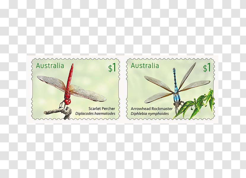 Postage Stamps Dragonfly Insect Max Stern & Co Adhesive - November - Two Strips Transparent PNG