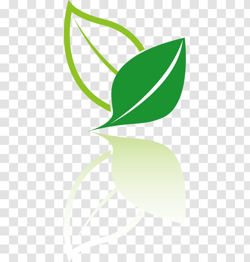 Tea Logo Icon - Wing - Vector Leaf Environmental Design Ideas Transparent PNG