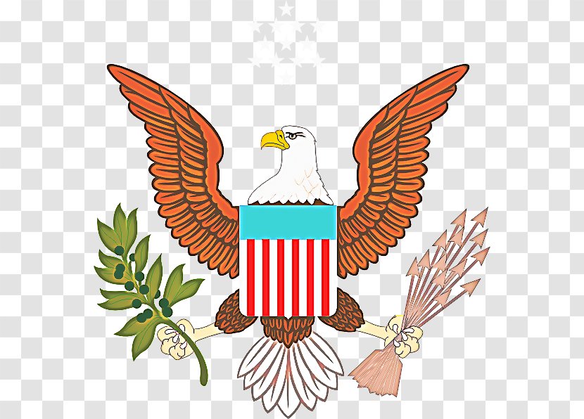 Bird Eagle Wing Of Prey Beak - Symbol Transparent PNG