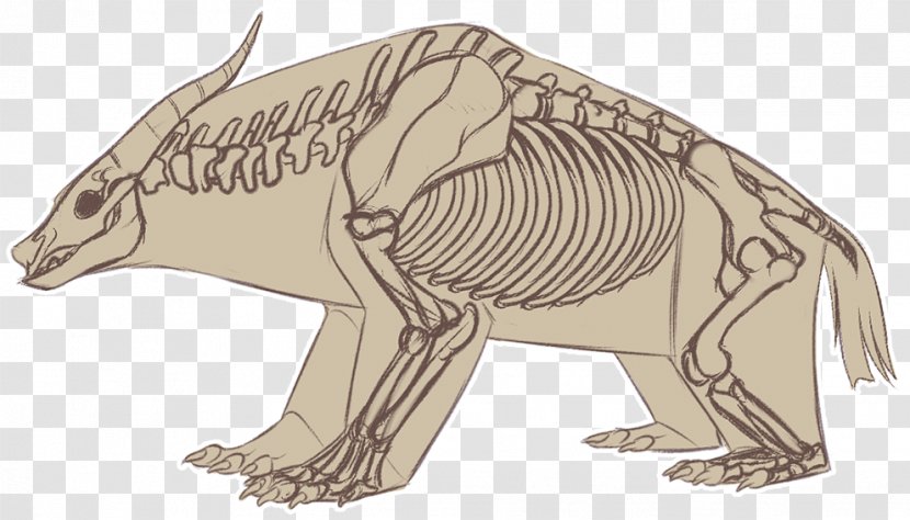 Line Art Tyrannosaurus Dog Wildlife - Bear Transparent PNG