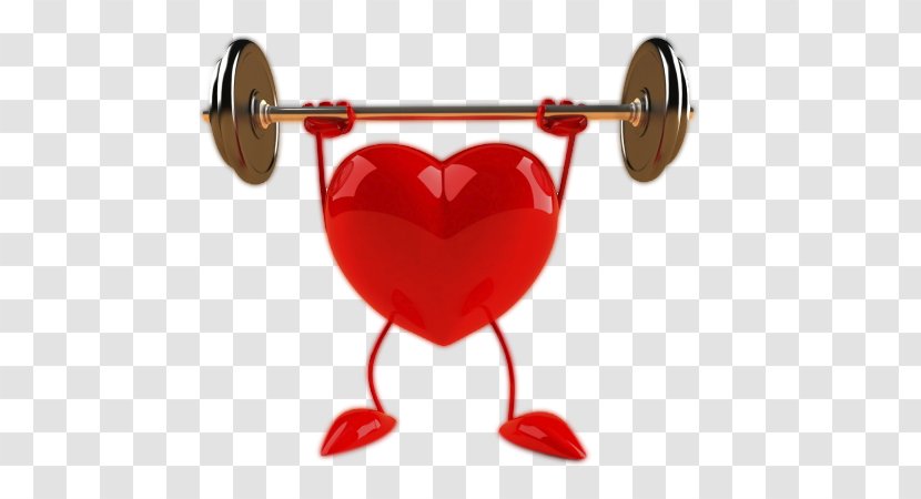 Physical Exercise Heart Aerobic Health Fitness - Tree - Body Cliparts Transparent PNG