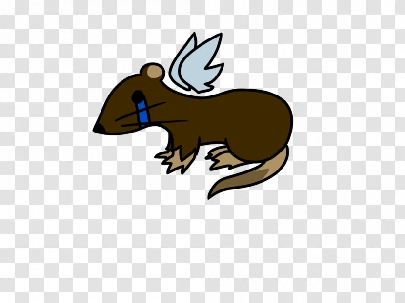Macropodidae Mouse Rodent Mammal Beaver - Rat & Transparent PNG