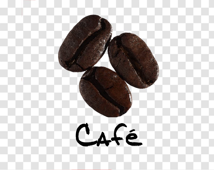 Jamaican Blue Mountain Coffee Commodity Cocoa Bean Cacao Tree - Avalanche Transparent PNG