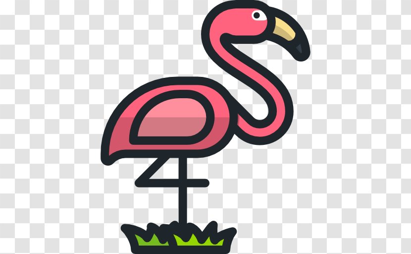 Clip Art - Beak - Flamingo Transparent PNG