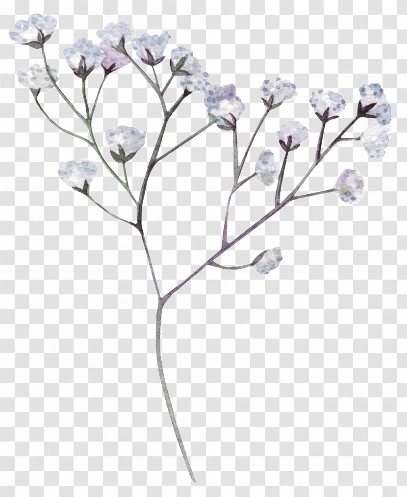 Flower Image Clip Art White - Cut Flowers - Hand Painted Calendar Transparent PNG