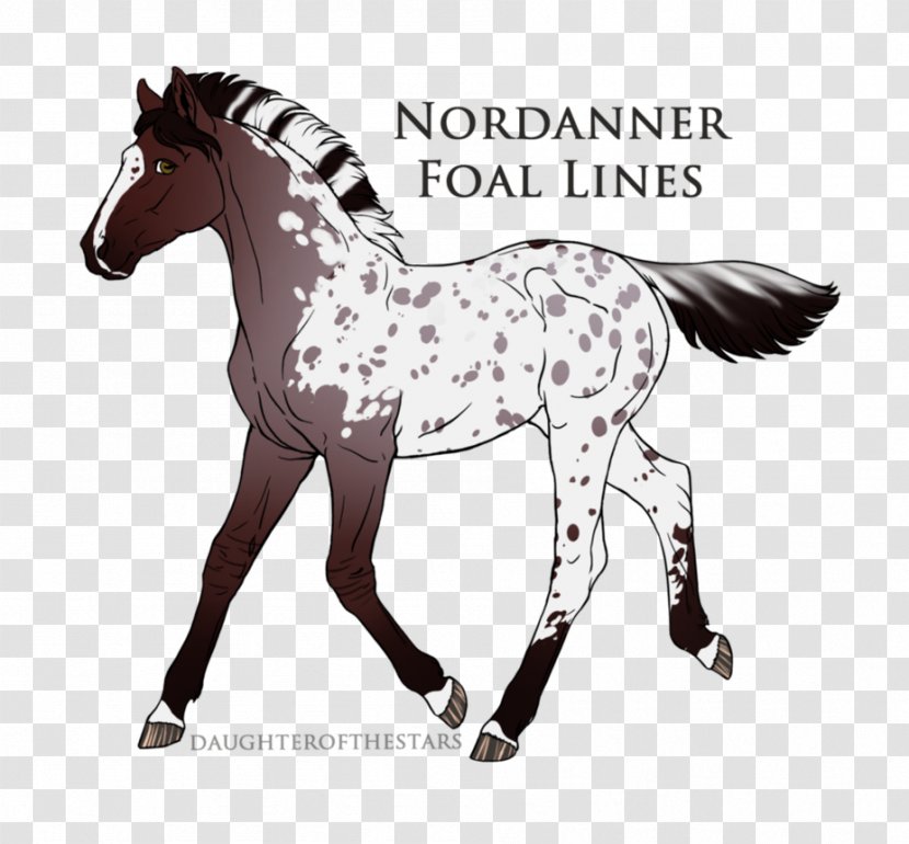 Mustang Foal Stallion Colt Mare - Halter Transparent PNG