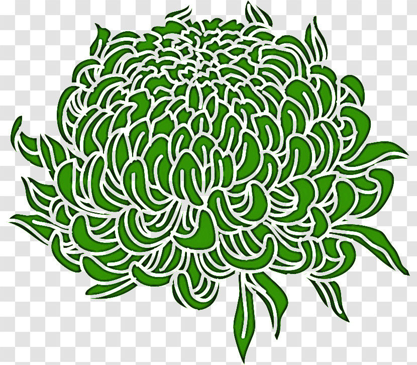 Chrysanthemum Chrysanths Transparent PNG