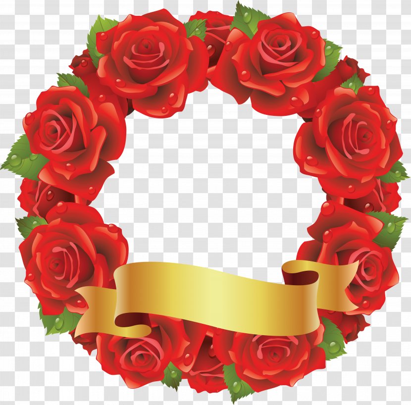 Rose Flower Clip Art - Floral Design - Red Decorative Transparent PNG