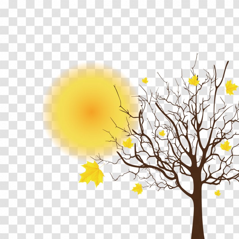 Tree Spring Clip Art - Free Content - Vector Autumn Leaves Transparent PNG