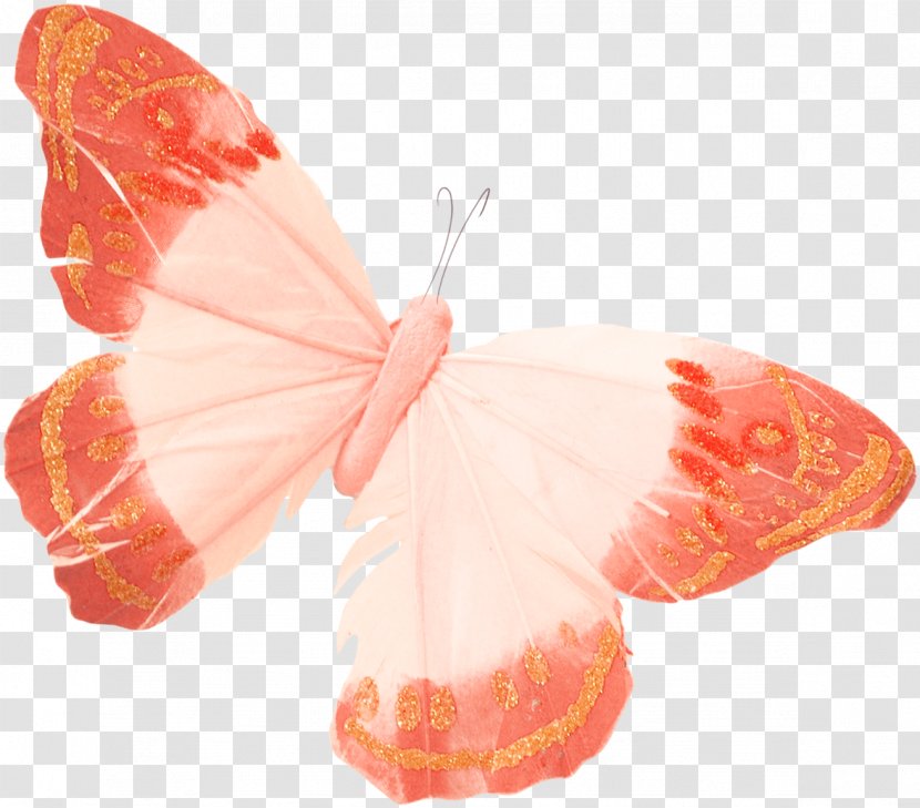 Butterfly Apollo Clip Art - Animal Transparent PNG