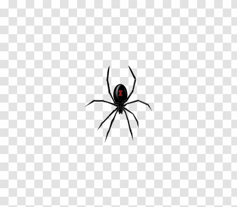 Widow Spiders Insect Friday The 13th T-shirt - Spider Web - Cliparts Transparent PNG