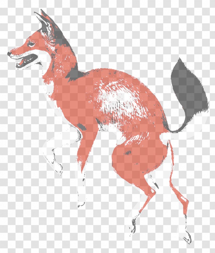 Antelope Wildlife Snout Drawing Tail - Fictional Character Fawn Transparent PNG