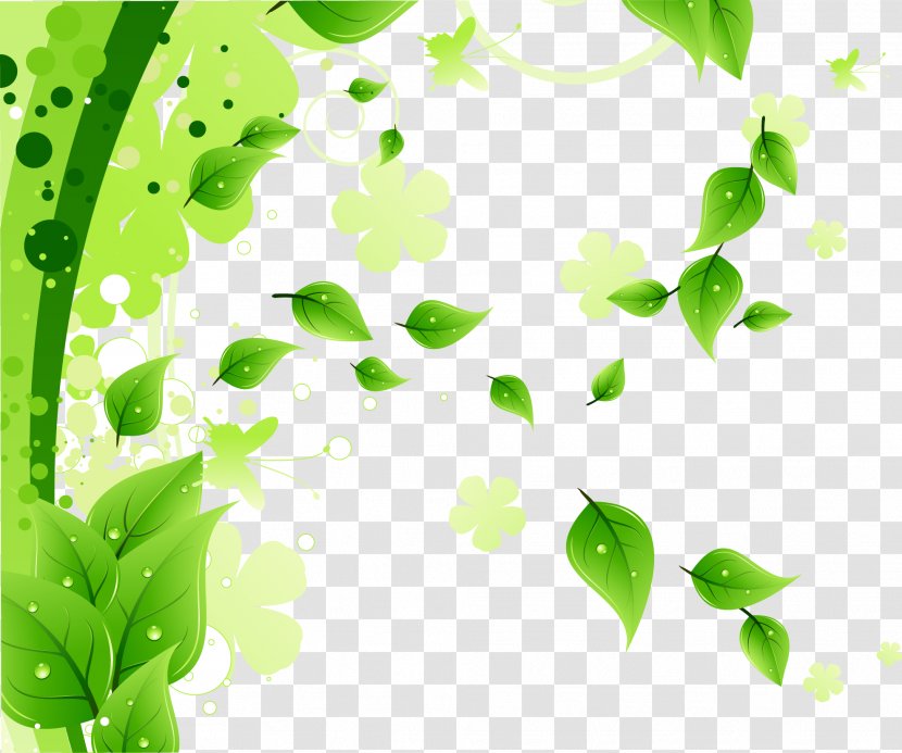 Leaf Decoration Background Vector - Grass - Flower Transparent PNG