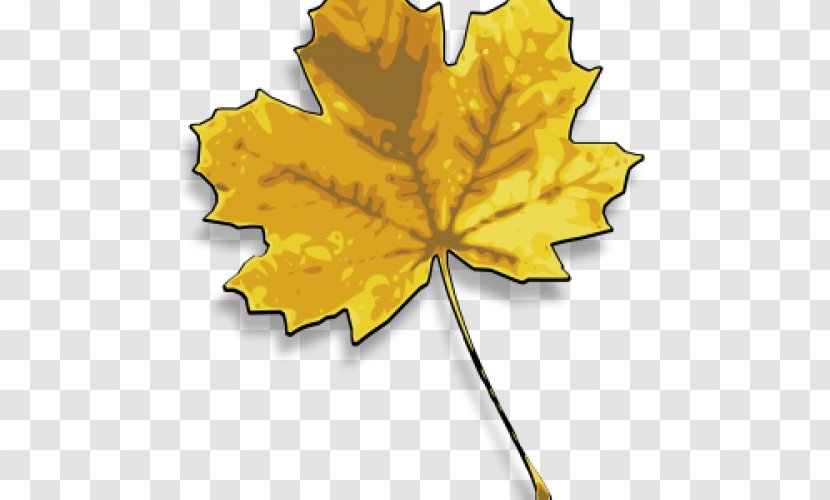 Maple Leaf Yellow Japanese Drawing Transparent PNG