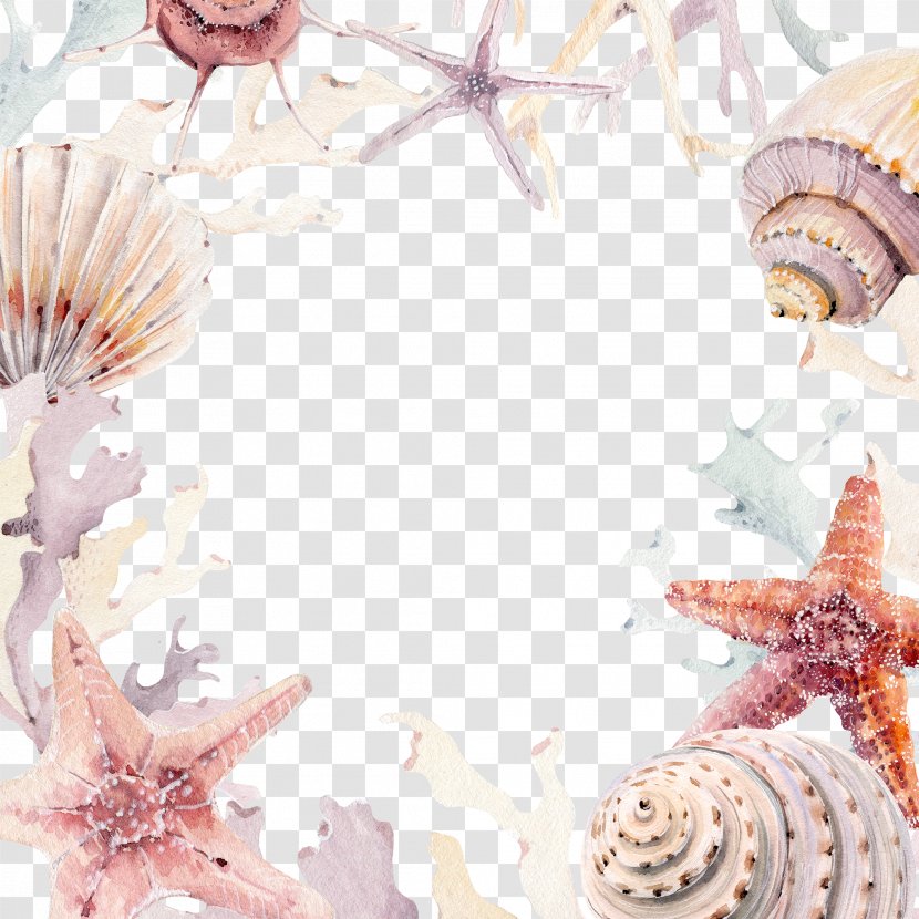 Wedding Invitation Seashell Beach Convite - Sand - Conch Coral Transparent PNG
