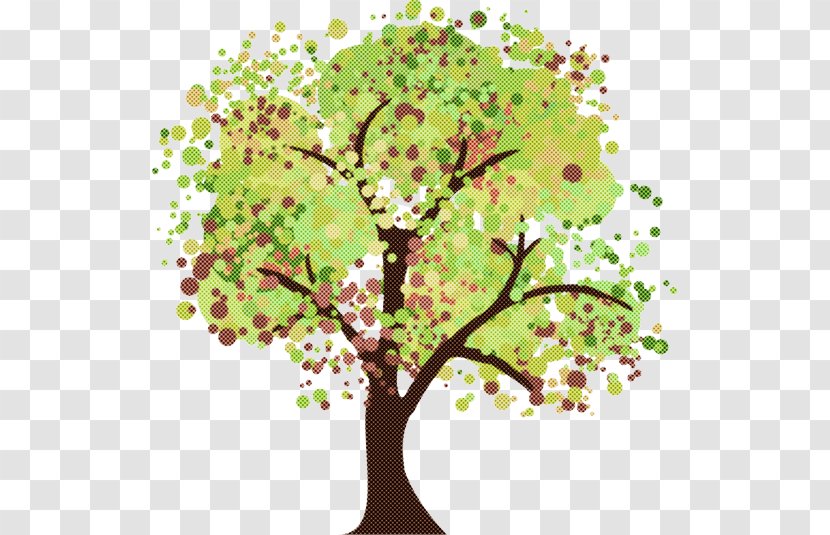 Tree Green Plant Flower Branch - Blossom Leaf Transparent PNG