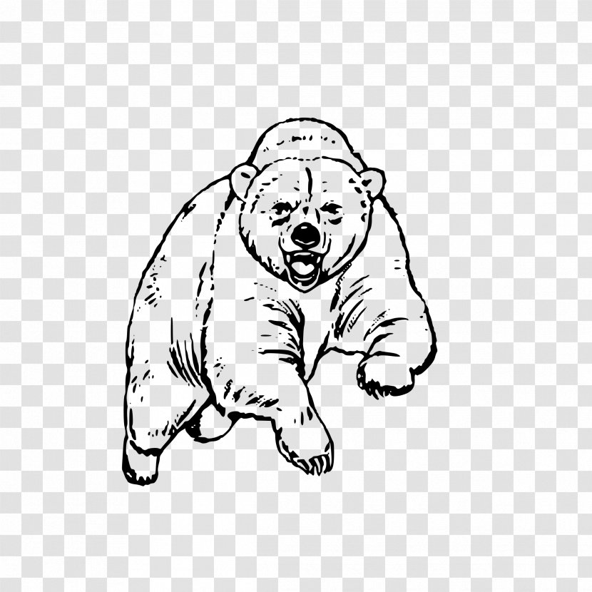 American Black Bear Polar California Grizzly - Watercolor Transparent PNG