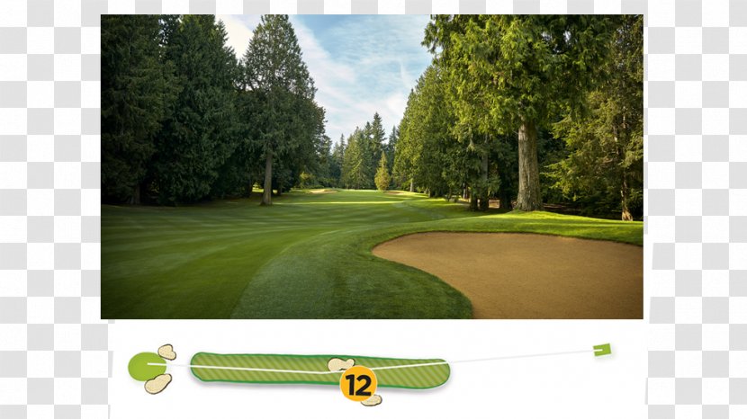 Golf Clubs Course Lawn - Womens Pga Championship Transparent PNG