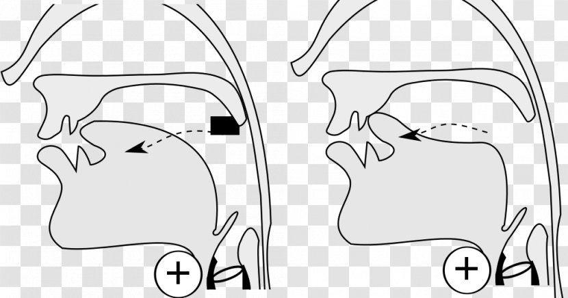 Sketch Ear Illustration Finger Cheek - Tree Transparent PNG