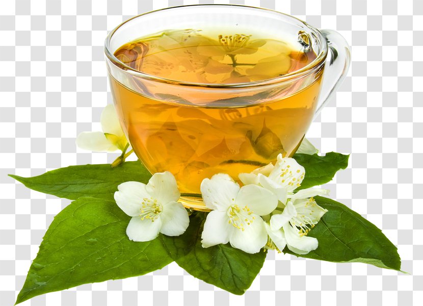 Flowering Tea Green Jasmine Herbal - Flower Transparent PNG