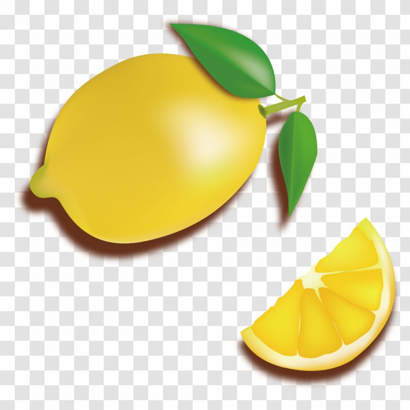 Lemon Food - Vecteur - Vector Slices Transparent PNG
