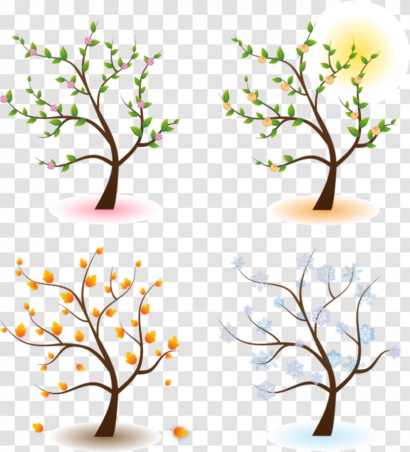 Season Tree Clip Art - Plant Stem - Vector Four Seasons Blooms Transparent PNG