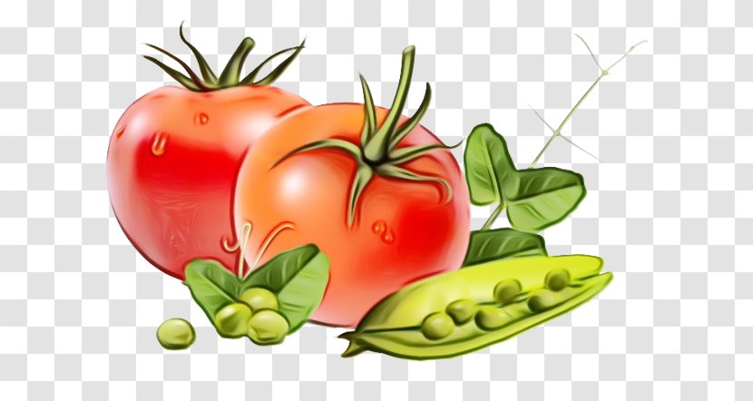 Tomato Cartoon - Vegetarian Food - Plum Cherry Tomatoes Transparent PNG