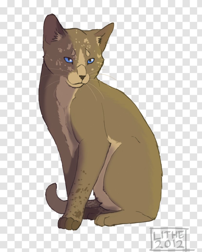 Havana Brown Animal Chihuahua Warriors Kitten - Fictional Character - Lithe Transparent PNG