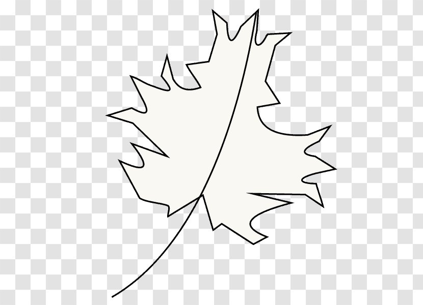 Maple Leaf Twig White Clip Art - Tree Transparent PNG