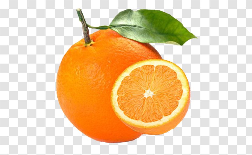 Clementine Orange Juice Bitter Mandarin Tangerine - Slice - Grapefruit Transparent PNG