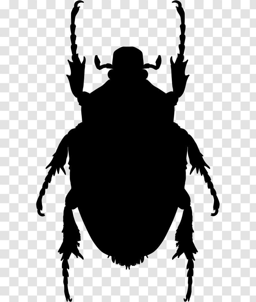 Insect Shape Mosquito Brown Marmorated Stink Bug Pest Transparent PNG