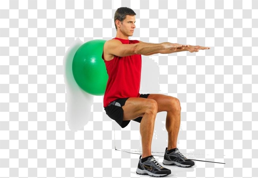 Exercise Balls Physical Fitness Squat Medicine - Flower - Ball Transparent PNG
