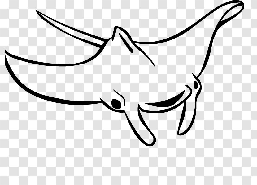 Giant Oceanic Manta Ray Drawing Batoidea Myliobatoidei Clip Art - Wing - Spiracle Transparent PNG