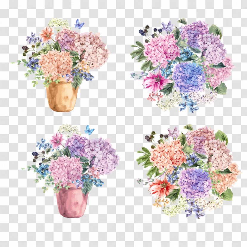 Hydrangea Petiolaris Flower Blossom Illustration - Garden Roses - Vector Potted Flowers Bouquet Transparent PNG