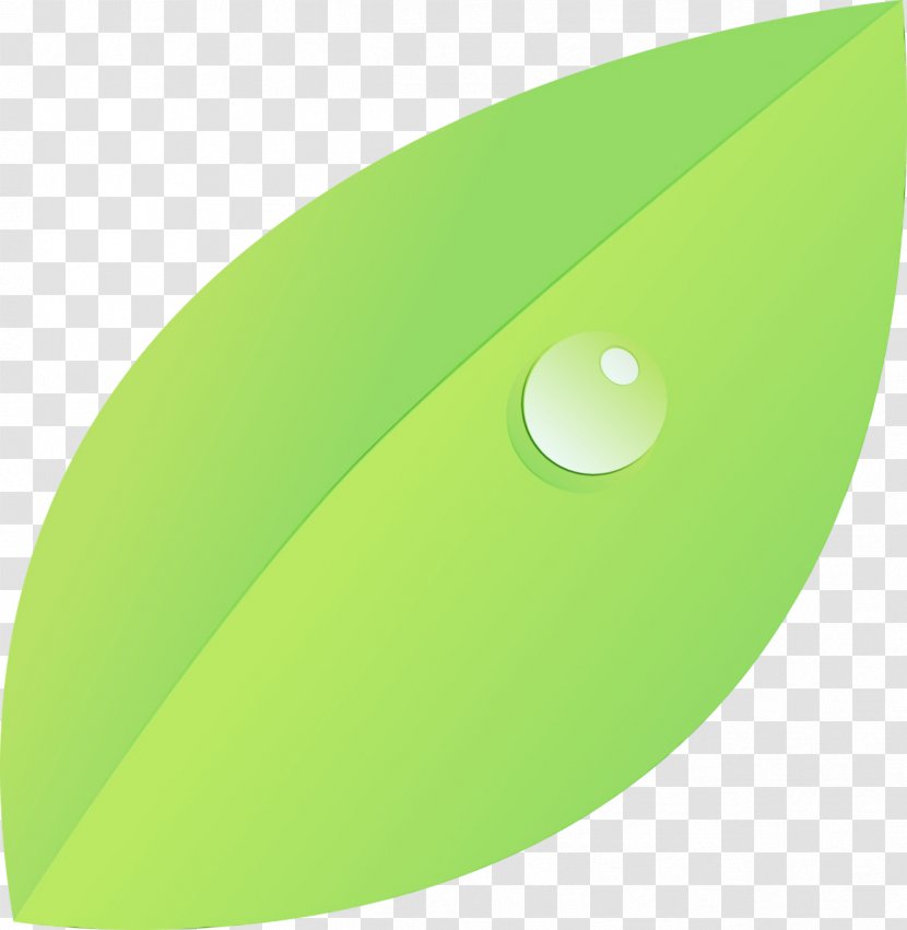 Green Leaf Oval Plant Transparent PNG