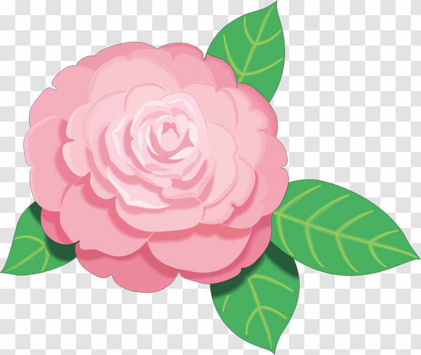 Pink Flowers Clip Art - Petal - Camellia Transparent PNG