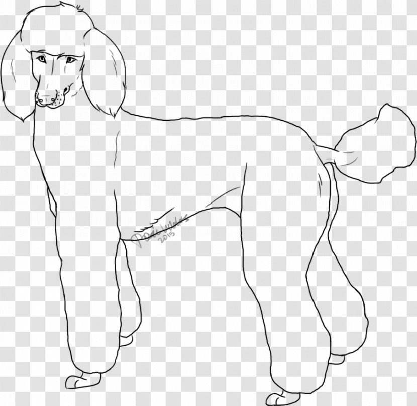 Dog Breed Standard Poodle Line Art Miniature - Cartoon - Pekingese Transparent PNG