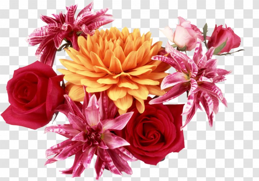 Cut Flowers Garden Roses Flower Bouquet - Dahlia - Bushes Transparent PNG